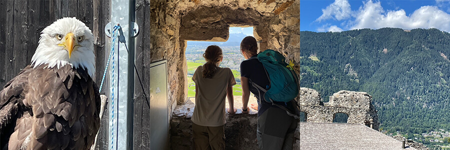 Burg Landskron en de Adelaarsarena