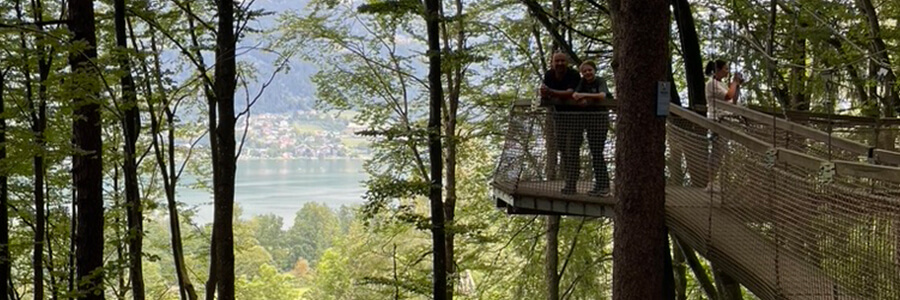 Familywald Ossiacher See – Avontuur en natuur voor het hele gezin